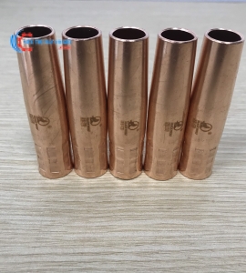 Chụp P200 con sói