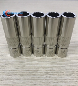 Chụp P500 con sói