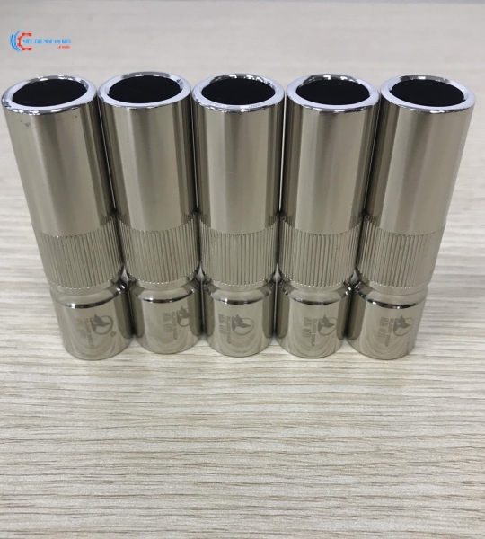 Chụp P500 con sói